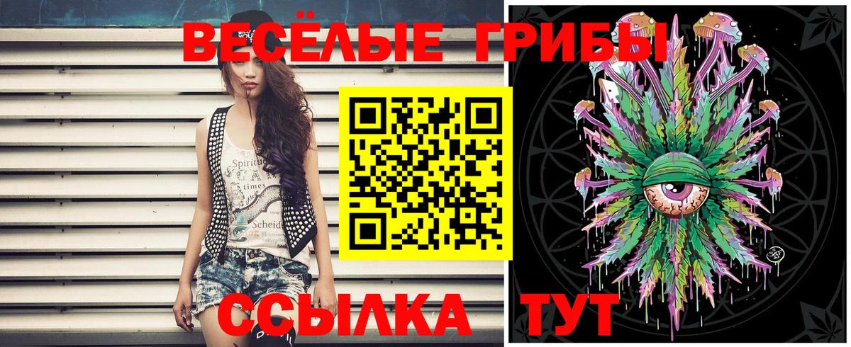 купить закладку  Вход с VPN  Щёкино  Галлюциногенные грибы Cubensis 
